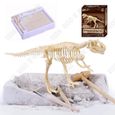 TD® Tyrannosaurus jouet dinosaure enfant jurassic world anniversaire Rex fouille archéologiques assemblage création puzzle-3