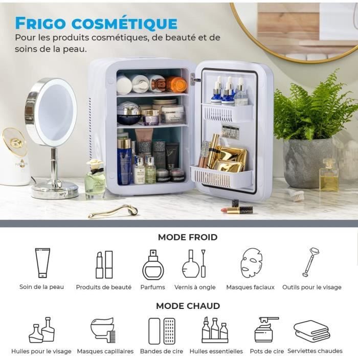 Flamingueo Mini Frigo de Chambre 4L Petit Frigo 12V/220V Fonction Chaud et  Froid Frigo Cosmetique Voiture Mini Bar