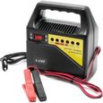 Chargeur de batterie automobile 6V 12V Appareil de charge Portable Batterie Véhicule Affichage LED - 51977-0