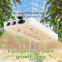 Lampe de culture à spectre complet pour plantes d'intérieur - QINGQUE - LED Grow Lights - 5000lm - 315*200*40mm
