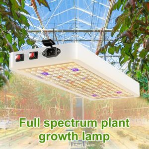 Eclairage horticole Lampe de culture à spectre complet pour plantes d'