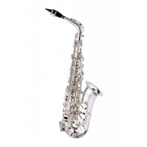 Ericealice Mini Saxophone Alto Saxophone Poche avec Instrument de