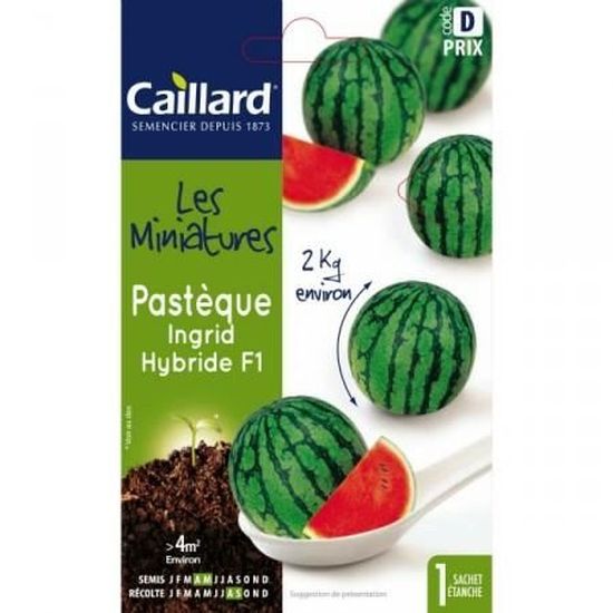Plombs Tungstène Pastèque 1/32 Oz (0,9 G) – Lot De 15, Pêche