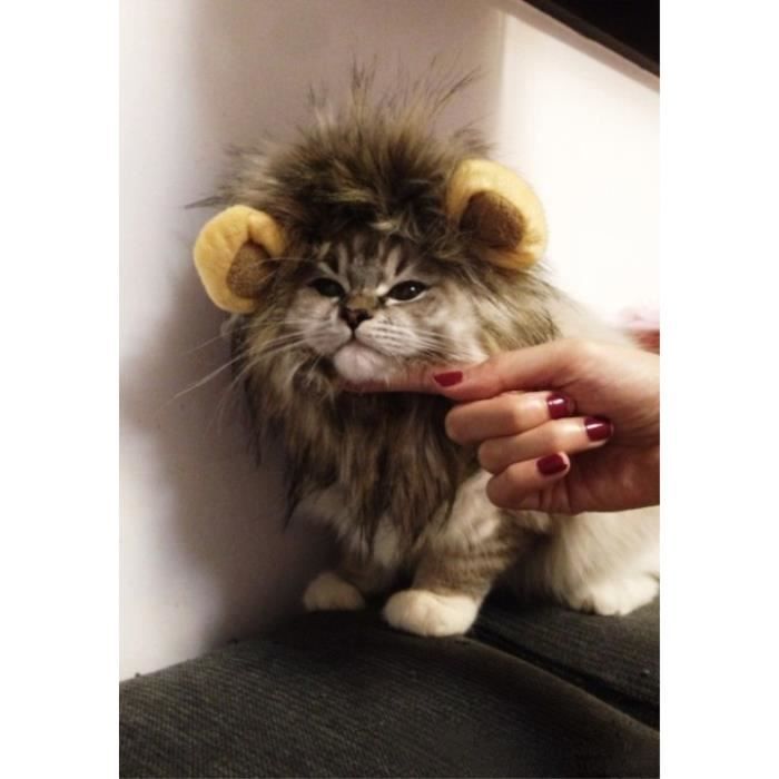 Funny Cute Pet Safe Cat Costume Lion Mane Perruque Chapeau Pour Chat Chien Halloween Achat Vente Casquette Snood Funny Cute Pet Safe Cat Cos Cdiscount Funny Cute Pet Safe Cat Costume Lion Mane Perruque Chapeau Pour Chat Chien Halloween Achat Vente Casquette Snood Funny Cute Pet Safe Cat Cos Cdiscount
