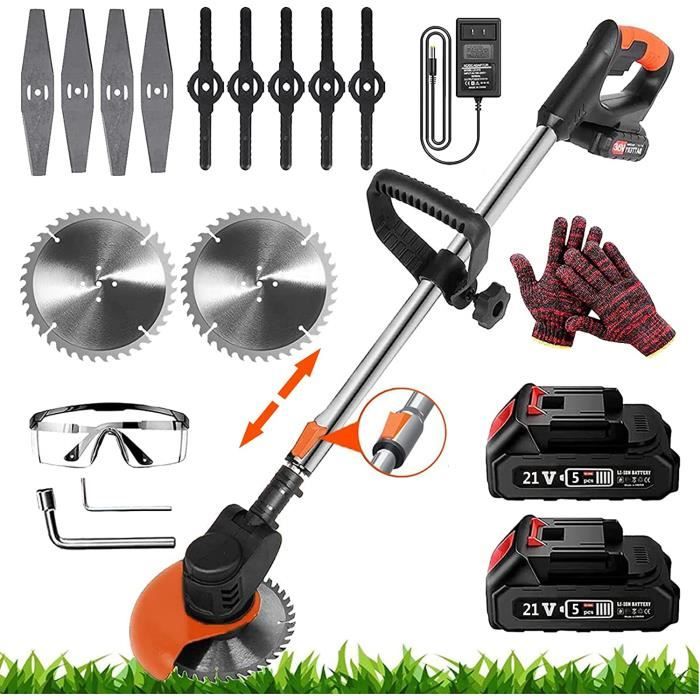 Semi Di Lithops MIX - 50 Semi Piante Grasse Pietre Vive Del Deserto - Cactus Esotico - Foto 4