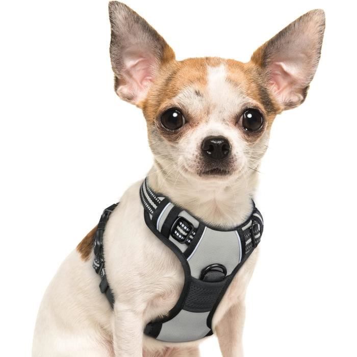 Harnais Lumineux LED Rechargeable Pour Grand Chien - Anti-Traction, Réfléchissant, Avec Poignée | Pour Promenades Nocturnes Sécurisées
