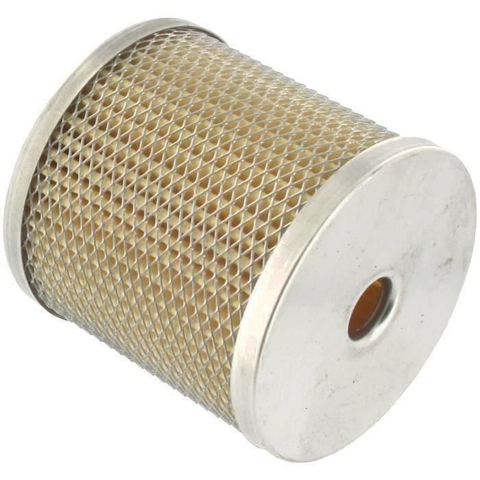 Filtre à carburant LOMBARDINI 273-2175-009