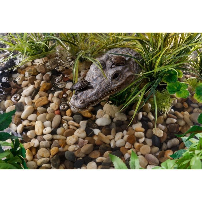 Meilleurs prix pour Croc turtle Island - EXO TERRA - Pour reptile ou amphibien - Accessible et sécurisé