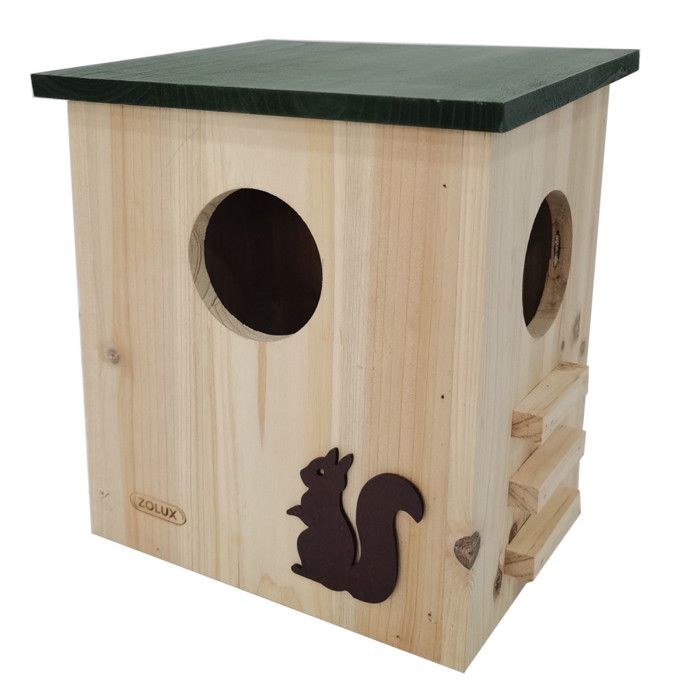 Ecureuil A Vendre Animalerie