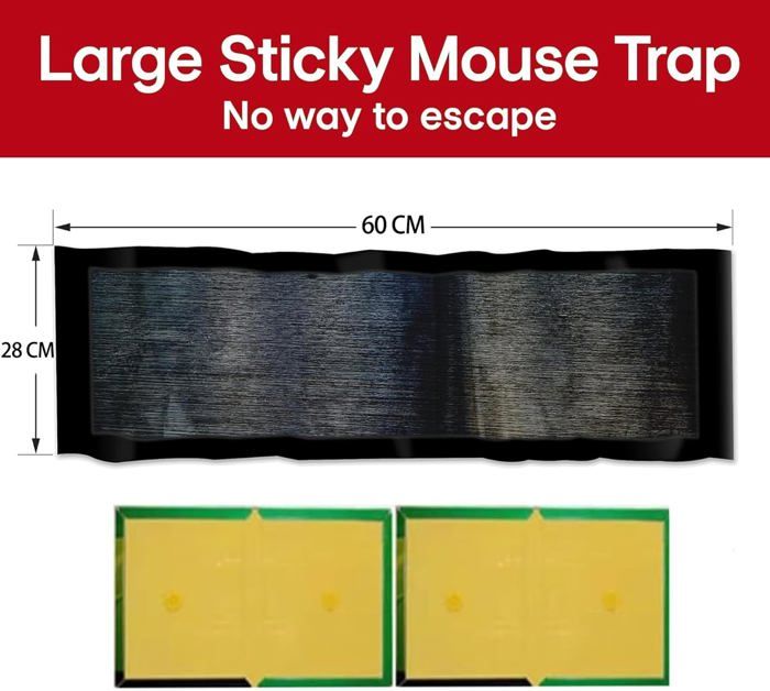 Piège à Souris Colle Collant Grande Taille 120x28cm - 6 Pièces Anti Cafards Rats Insectes