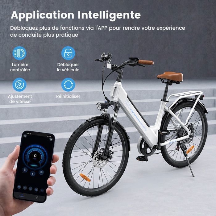 VTT électrique TIGUOWISH Adulte – Moteur 250W, Batterie 36V 20Ah, Autonomie 35-45 Km, Freins Disque 160mm, Assistance 3 Niveaux