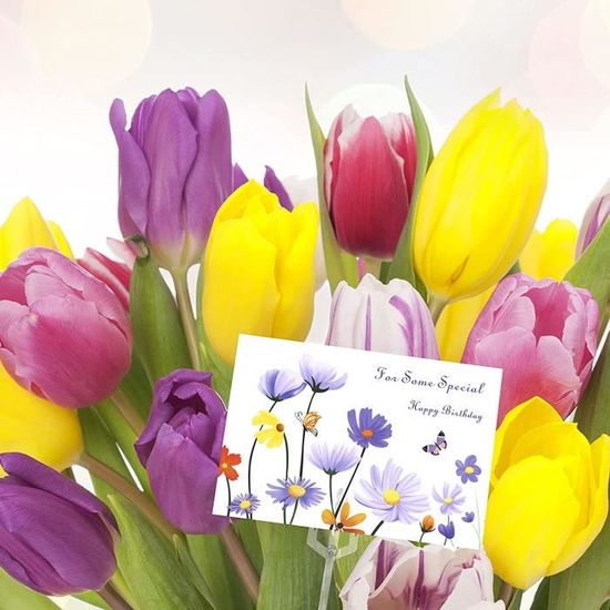 12 Pieces Carte D Anniversaire Pour Femme Motif Floral Cartes De Joyeux Anniversaire Avec Enveloppes Cartes De Voeux Annivers 443 Cdiscount Beaux Arts Et Loisirs Creatifs