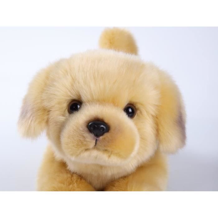 Peluche Golden Retriever Couché Uni-Toys 43cm - Doudou Réaliste, Fourrure Douce, Remplissage Recyclé