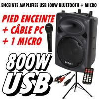 SLK15A-BT 800W ENCEINTE + MICRO + PIED + CÂBLE PC