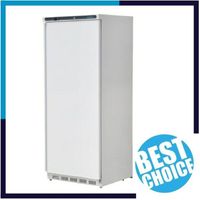 Armoire frigo professionnel 600L