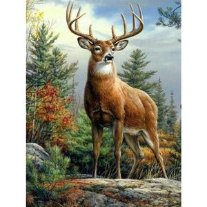 Lot De 5 Cuillères De Pêche – Leurres Métal Hameçons Aigus – 4.2-6.2cm – 5-14g