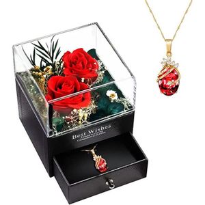 25 cm Ours de rose Coffret cadeau Saint-Valentin avec Collier de projection  Bague Carte-Cadeau pour femme petite amie - ROUGE - Cdiscount Maison