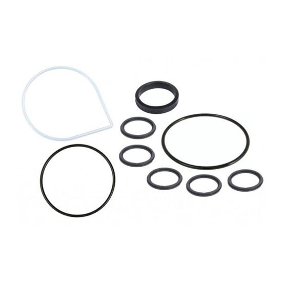 Lot De 5 Joints Toriques Pour Pompe De Piscine SPS | Diamètre Ext. 60 Mm, Int. 54 Mm, épaisseur 3 Mm - ABS Noir
