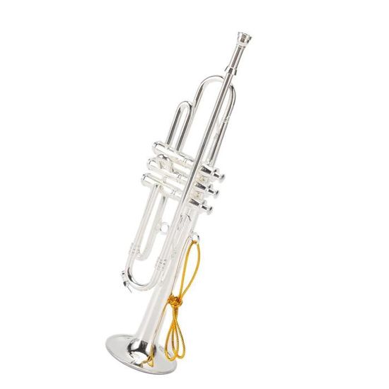 Drfeify modèle de trompette miniature Mini Modèle de Violon, Trompette  Miniature 14cm 5.5in Argent Cuivre Exquis montres parure