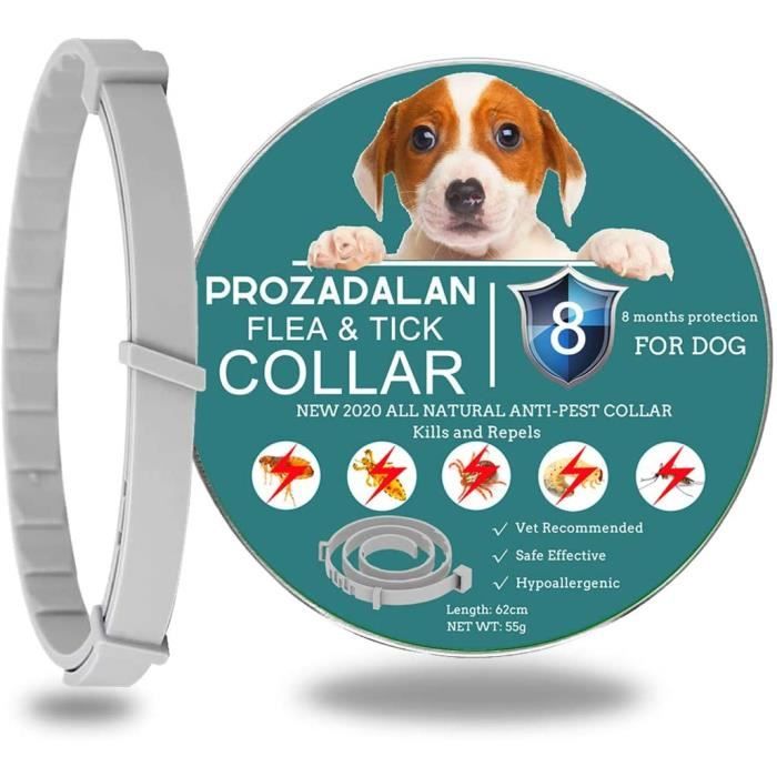 COLLIER ANTI FUGUE PROZADALAN Collier Anti Puces Tiques Chien 