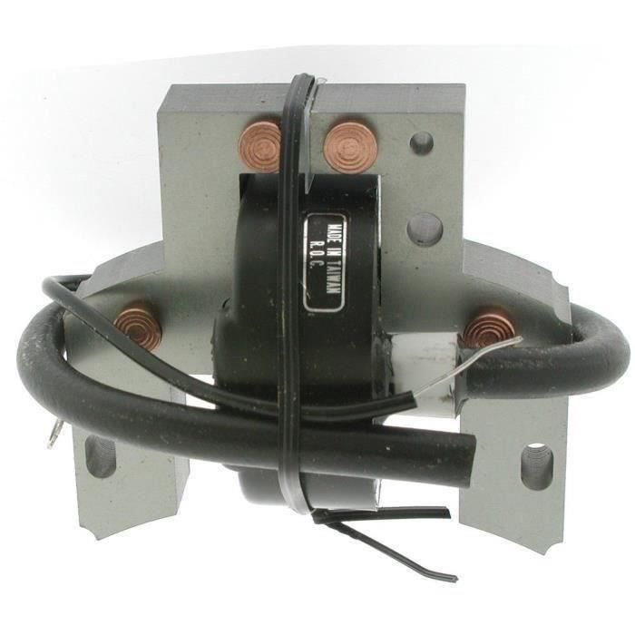 Greenstar 4938 Bobine d'allumage classique pour moteurs Brigg/Stratton