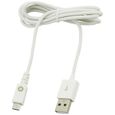 MUVIT Spring Câble Droit Charge & Sync 1A USB / Micro USB - 1 m - Blanc-1