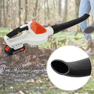 Souffleur De Feuilles Électrique Sans Fil 21V 3800W Souffleur À Main
