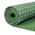 Carpeto Rugs Gazon Synthétique Exterieur - Faux Gazon Artificiel pour Balcon, Terasse et Jardin - Vert - 200 x 300 cm-0