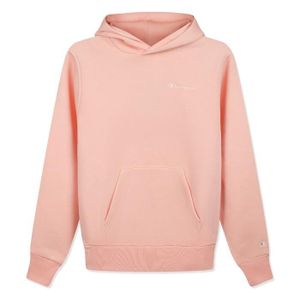 Pull champion best sale homme rose