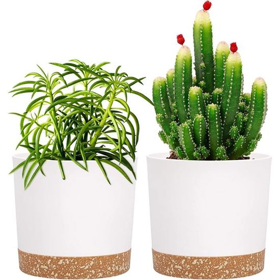 2 Pack 5& Plant Pots Indoor Plant Pots with Drainage Holes and ...