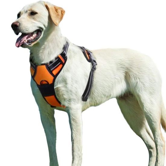 Harnais Chien / Harnais pour petit chien- Orange taille XL -- Anti Traction  Réglable Réfléchissant Matériau Respirant + Bol