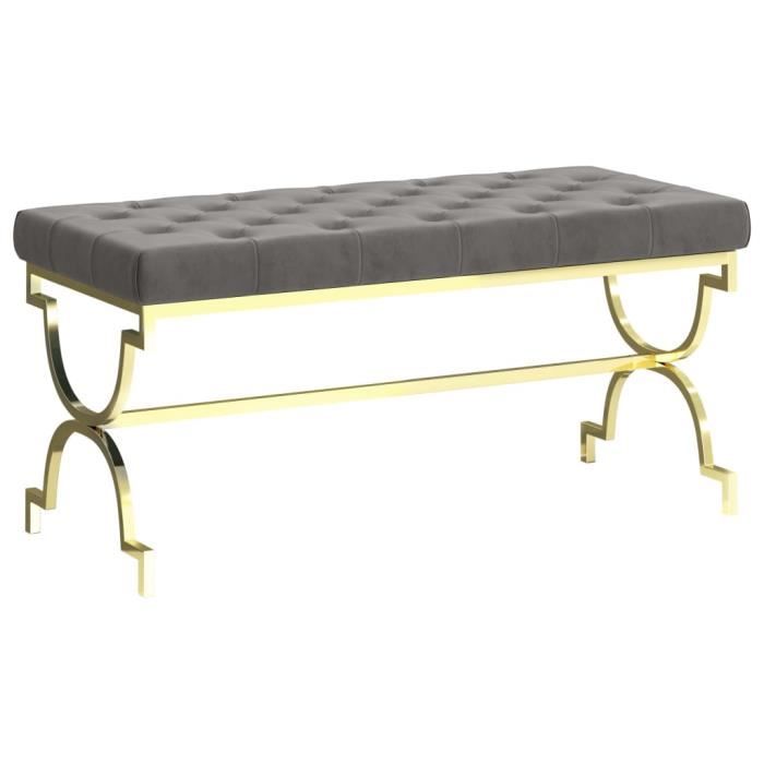 Banc à chaussures avec coussin Velours et acier inoxydable Gris - 99 x 43 x 46 cm - Style contemporain