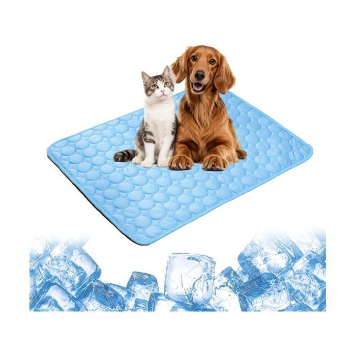 Tapis Rafraichissant Chat Comment Ca Marche