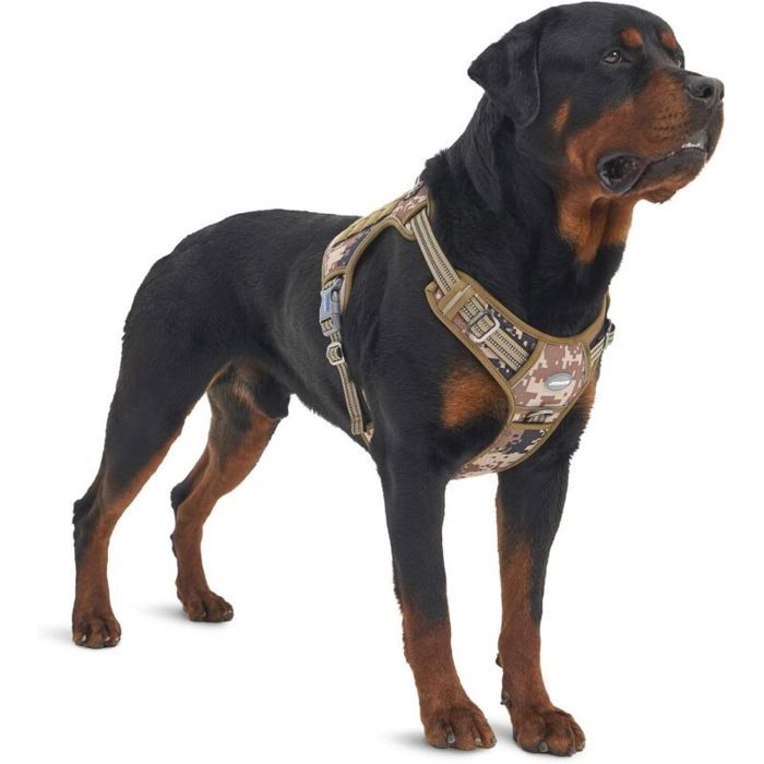 Harnais pour chien grand - MHY® - Sans traction - Réglable - Réfléchissant - Nylon durable - Système Molle