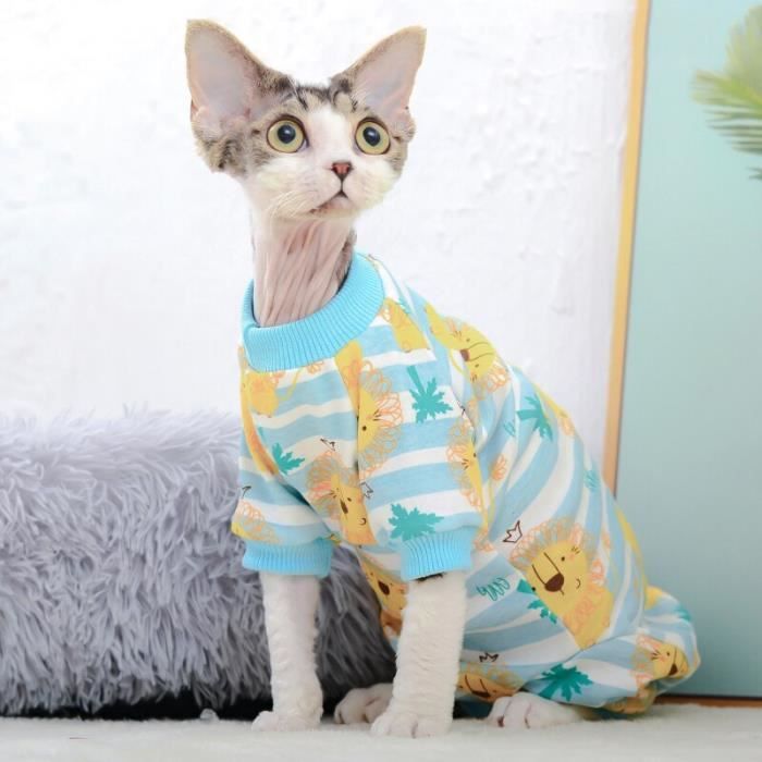 Vetement pour chat sphynx discount