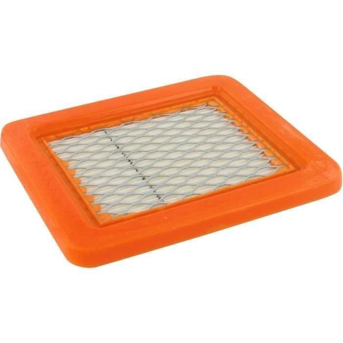 Filtre à air BRIGGS et STRATTON 711459