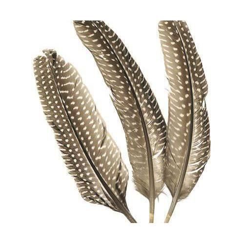 Miroir Rond En Plumes De Coq Naturelles Décoration Murale De Style Ethnique Mirror Tail Beige 60cm 92852717