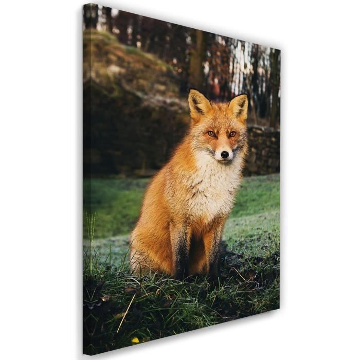 Tableau Decoration Murale Image D Un Renard 40x60 Cm Impression Sur Toile Pour La Maison Chambre Cdiscount Maison