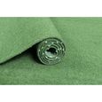 Carpeto Rugs Gazon Synthétique Exterieur - Faux Gazon Artificiel pour Balcon, Terasse et Jardin - Vert - 200 x 300 cm-3