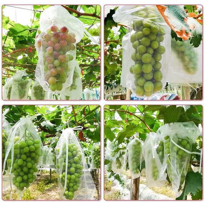Vert - 30 x 20 cm, 100 sacs de protection des fruits Sacs en filet