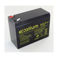 Batterie plomb cyclique 12V 10Ah Exalium EXAC10-12-0