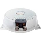 Subwoofer passif pour auto 80 W Sinuslive BASS PUMP III White Edition 8 Ω