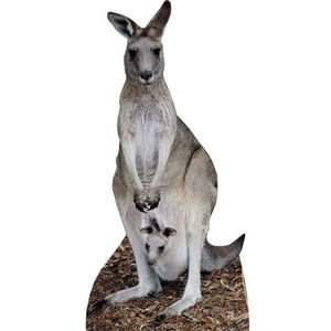OBJET DÉCORATIF Figurine en carton taille réelle Le kangourou H 19