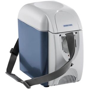 Mini R/éfrig/érateur Portable 6L 12 V De Voiture R/éfrig/érateur 220 V Simple Porte Voiture Maison Double Usage Thermo/électrique Bureau Mini /Économies D/énergie R/éfrig/érateur Refroidisseur R/é