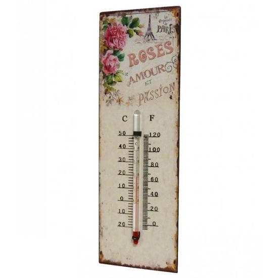 Thermomètre Décoratif Mural Floral - Celsius Et Fahrenheit | Fer Et Papier Verni Pour Déco Intérieur 0,5x8x25cm