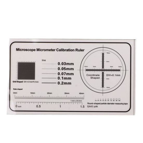 Microscope Numérique WiFi 1000x W05A - Portable, Pour Smartphone IOS/Android, 8 LEDs, Photos Vidéos, Observation Biologie
