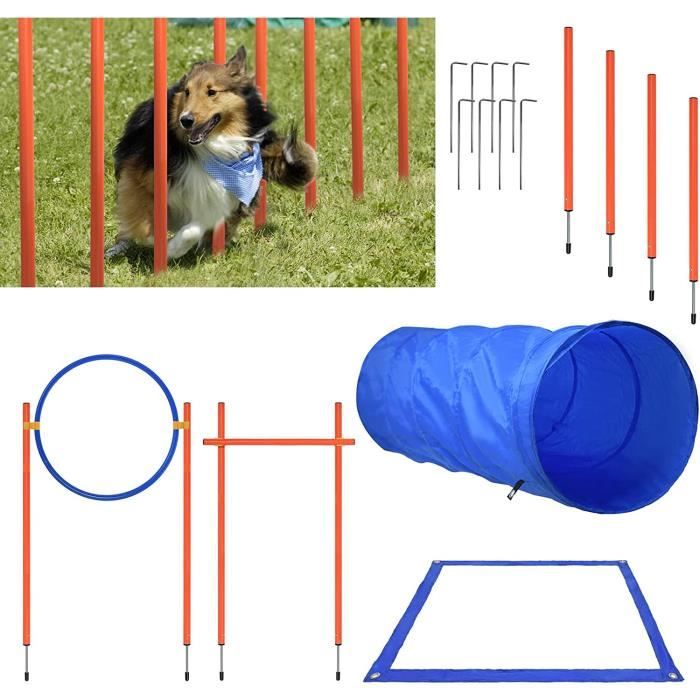 Aufun Ensemble d'équipement d'agilité pour chiens, tunnel d'obstacles d'entraînement, hauteur réglable