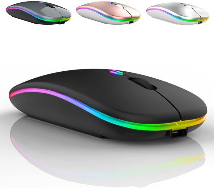 Souris sans fil LED rechargeable et silencieuse avec récepteur USB et type-C idéale pour bureau avec 3 DPI réglables (argent)