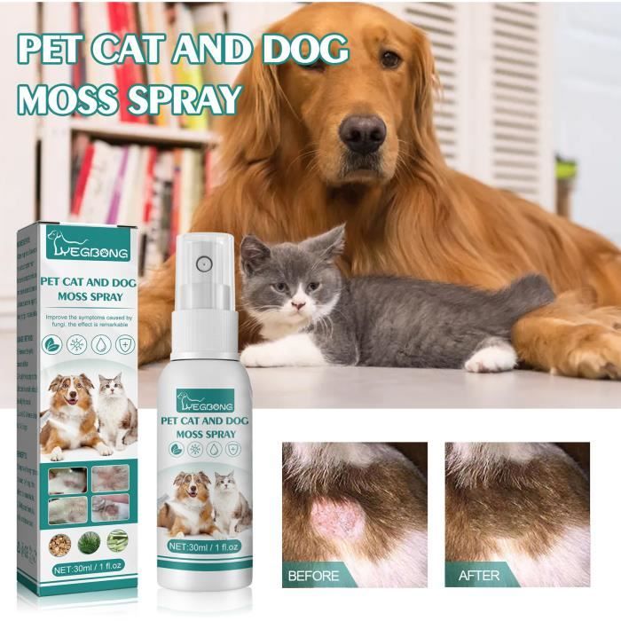 Pet Cat Moss Spray de soin de la peau Traitement professionnel de la teigne Maladies de la peau Soulagement des démangeaisons