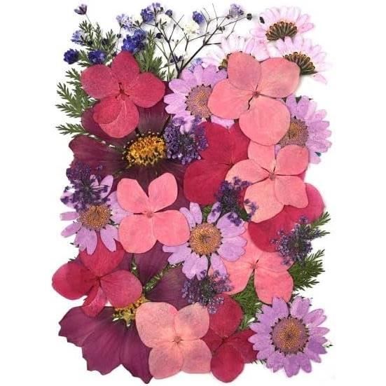CoolCrafts Lot 12 Sacs Fleurs Séchées Naturelles Pour Bougies Savons Et Artisanat